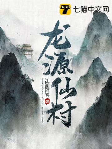 龙源仙村 小说