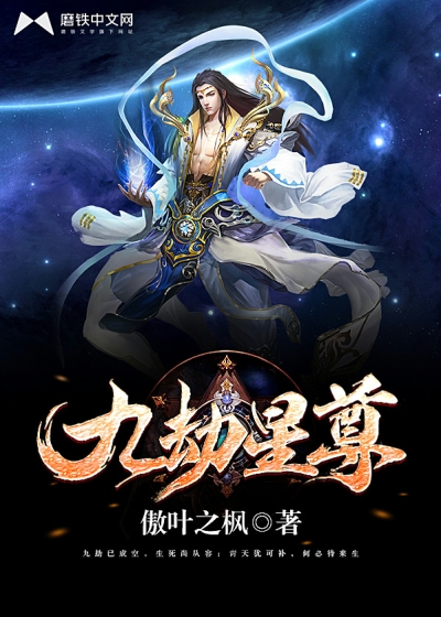 九劫星尊 傲叶之枫