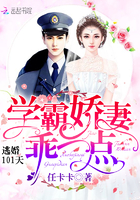 逃婚101天：学霸娇妻，乖一点