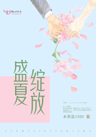 盛夏绽放的花朵