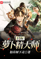 元萝卜大师版