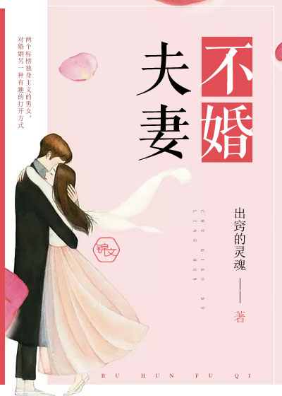 不婚夫妻小说讲的什么