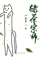 绿茶宗师 小说