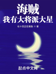 海贼我有大将派大星